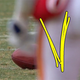 Image for article titled Hey, he stole that lady’s football!: The voyeuristic fun of crowd shots